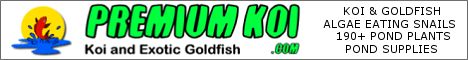 Premium Koi - Koi, Pond Plants and Pond Supplies - One Stop Pond Shopping